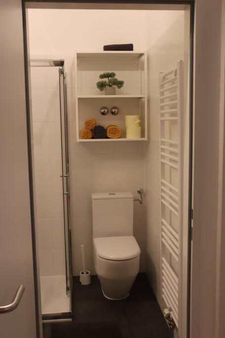City Apartment Rudolf 26M2 格拉茨 外观 照片